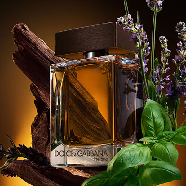 Dolce & Gabbana  The One Cologne