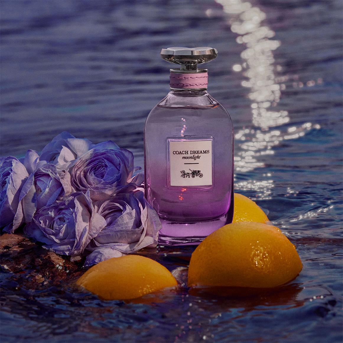 Coach Dreams Moonlight Perfume