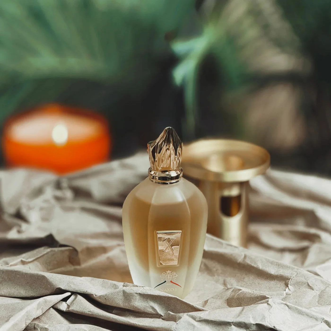 Xj 1861 Naxos Perfume