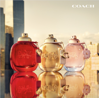 F-G-L Coach Luxury Save